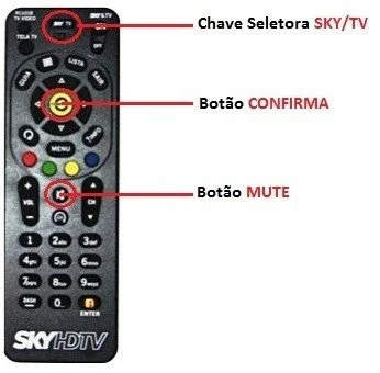Configurando o controle remoto Sky RC65SB.