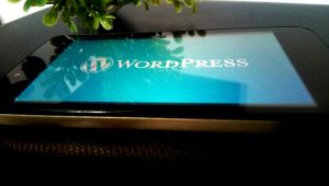 Como evitar tentativas de invasão no Wordpress Como evitar as tentativas de invasões no WordPress