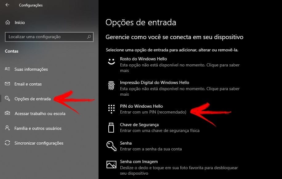 Opções de entrada do windows 10