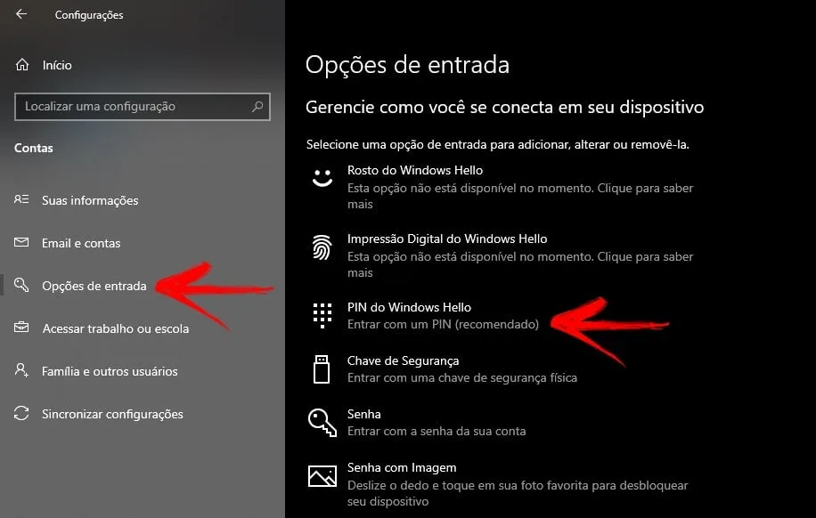 Opções de entrada do windows 10