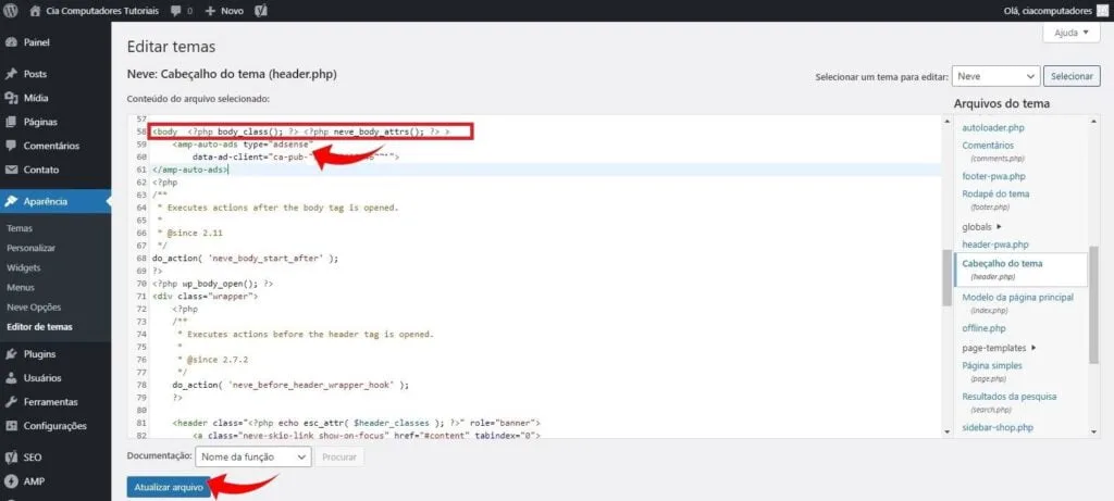 Editor de temas WordPress: adicionando código abaixo da tag body.