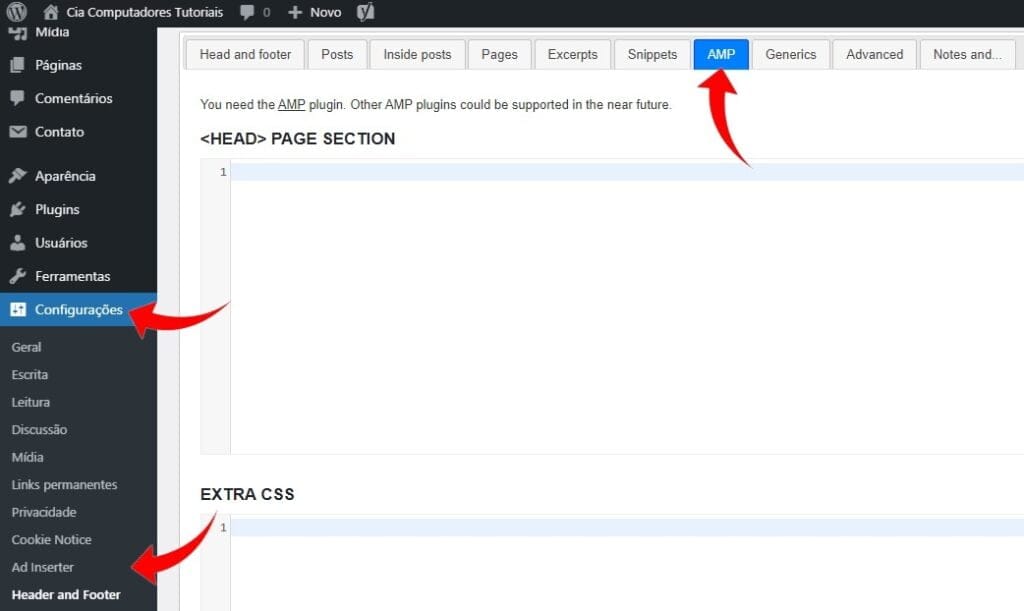 Aba AMP plugin Head, Footer and Post Injections