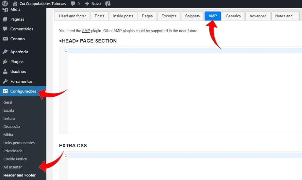 Aba AMP plugin Head, Footer and Post Injections