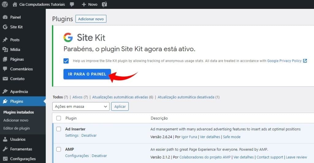 Site Kit painel WordPress.