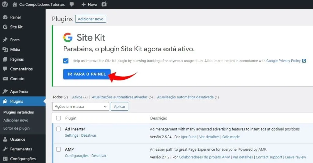 Site Kit painel WordPress.