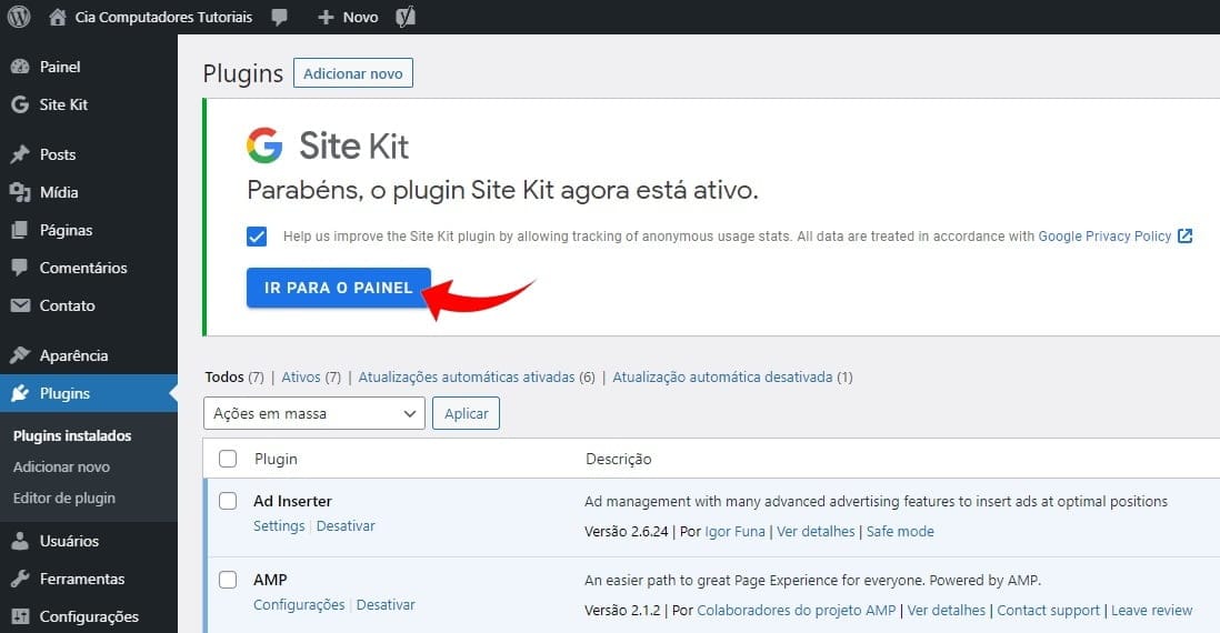 ADSENSE AMP PLUGIN: Panduan Lengkap untuk Memonetisasi Konten AMP Anda