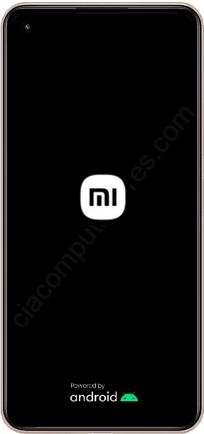 Como formatar o Xiaomi 11 Lite 5G NE pelo modo de recuperação?