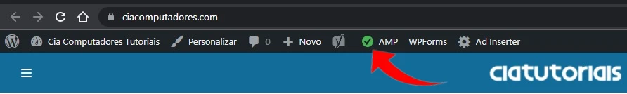 Como verificar se está tudo funcionando corretamente no site?