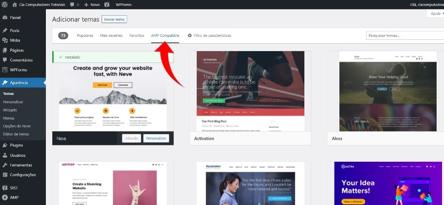 Instalando o tema AMP.