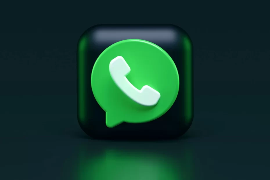 WhatsApp: recursos e funções básicas.
