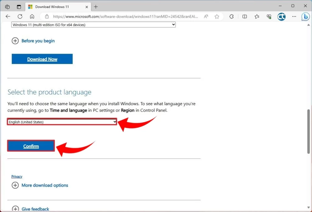 Instalação da Atualização do Windows 11 com Copilot a partir de um arquivo ISO