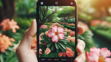 Como compartilhar Live Photos do iPhone no Android?